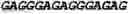 Fig. 52 - Double-stranded nucleic acid molecule for gene expression control