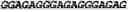 Fig. 53 - Double-stranded nucleic acid molecule for gene expression control