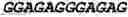 Fig. 68 - Double-stranded nucleic acid molecule for gene expression control