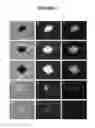 Fig. 06 - Compositions and methods for reprogramming eukaryotic cells