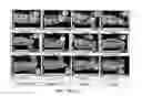 Fig. 09 - COMPOSITION FOR TREATMENT OF EPITHELIAL TISSUE