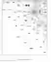 Fig. 07 - Genetic Alterations Associated with Autism and the Autistic Phenotype and Methods of Use Thereof for the Diagnosis and Treatment of Autism