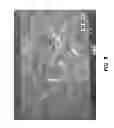 Fig. 10 - AEROGEL/XEROGEL COMPOSITE MATERIAL AMALGAMATED WITH SINGLE-WALLED CARBON NANOTUBES FOR MULTIPURPOSE USAGE