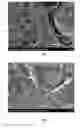 Fig. 02 - COUPLED FLY ASH FILLED POLYMER COMPOUNDS