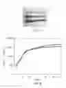 Fig. 05 - Cross-linked organic polymers for use as elastomers in high temperature applications