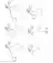 Fig. 06 - Process of producing polyolefins using metallocene polymerization catalysts and copolymers therefrom