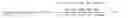 Fig. 02 - Amphiphilic macromolecule and use thereof