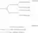 Fig. 05 - Amphiphilic macromolecule and use thereof