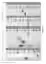 Fig. 02 - Method of increasing the hydrodynamic volume of polypeptides by attaching to gonadotrophin carboxy terminal peptides