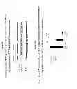 Fig. 08 - Methods and compounds useful in conditions related to repeat expansion
