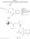 Fig. 137 - Modified iRNA agents