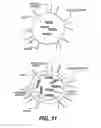Fig. 16 - Modified iRNA agents