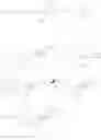 Fig. 167 - Modified iRNA agents