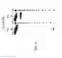 Fig. 25 - Modified iRNA agents