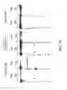 Fig. 27 - Modified iRNA agents