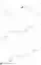 Fig. 80 - Modified iRNA agents