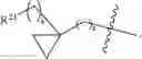 Fig. 103 - Beta-lactamase inhibitors