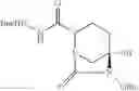 Fig. 119 - Beta-lactamase inhibitors