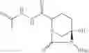 Fig. 121 - Beta-lactamase inhibitors