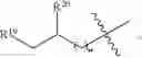 Fig. 30 - Beta-lactamase inhibitors