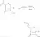 Fig. 58 - Beta-lactamase inhibitors