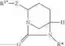 Fig. 89 - Beta-lactamase inhibitors