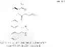 Fig. 02 - PROCESS FOR THE PREPARATION OF ANGIOTENSIN II ANTAGONISTS AND INTERMEDIATES THEREOF