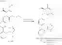 Fig. 12 - PROCESS FOR THE PREPARATION OF ANGIOTENSIN II ANTAGONISTS AND INTERMEDIATES THEREOF