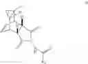 Fig. 06 - Compounds, compositions and methods for treatment and prevention of infections and associated diseases