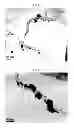 Fig. 04 - Method of preparing carbon nanotube composite surface having metal particles
