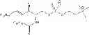 Fig. 43 - METHODS FOR THE SYNTHESIS OF SPHINGOMYELINS AND DIHYDROSPHINGOMYELINS