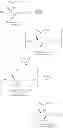 Fig. 45 - METHODS FOR THE SYNTHESIS OF SPHINGOMYELINS AND DIHYDROSPHINGOMYELINS