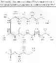 Fig. 53 - METHODS FOR THE SYNTHESIS OF SPHINGOMYELINS AND DIHYDROSPHINGOMYELINS