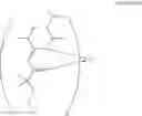 Fig. 09 - β-ketoimine ligand, method of preparing the same, metal complex comprising the same and method of forming thin film using the same