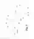Fig. 04 - Treating C8-C10 aromatic feed streams to prepare and recover trimethylated benzenes