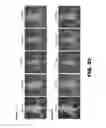 Fig. 33 - Antibodies to TIP-1