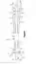 Fig. 45 - Expandable dilator