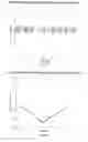 Fig. 08 - System and method for detecting vascular contamination by surgical anesthetic using non-invasive IR spectrophotometry