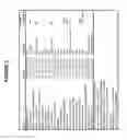 Fig. 04 - METHODS FOR MEASUREMENT AND ANALYSIS OF BRAIN ACTIVITY