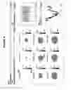 Fig. 05 - METHODS FOR MEASUREMENT AND ANALYSIS OF BRAIN ACTIVITY