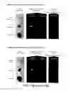 Fig. 16 - Raman Imaging Devices and Methods of Molecular Imaging