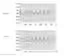 Fig. 09 - MEASUREMENT DEVICE, EVALUATING METHOD, AND EVALUATION PROGRAM
