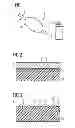 Fig. 02 - Method for producing a bioactive surface on an endoprosthesis or on the balloon of a balloon catheter