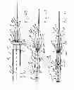 Fig. 09 - Needle for bloodless IV