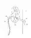 Fig. 01 - Hemostatic devices and methods for use thereof
