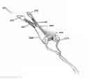 Fig. 01 - Methods and devices to treat nasal airways