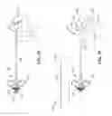 Fig. 07 - Denervation methods