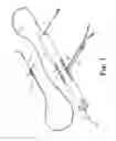 Fig. 02 - DEVICES, SYSTEMS AND METHODS FOR A QUICK LOAD GUIDE WIRE TOOL