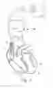 Fig. 02 - Implantable device with responsive vascular and cardiac controllers
