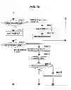 Fig. 16 - Water supply apparatus and water supply method